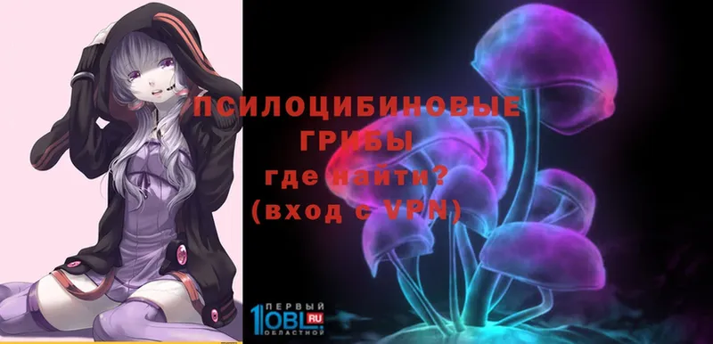 Галлюциногенные грибы Magic Shrooms  закладки  Белоозёрский 